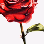 How to draw a rose - step 15.jpg__1200x1200_q85_crop_subsampling-2