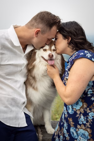 Amanda DeBarr - Gallery Image 1