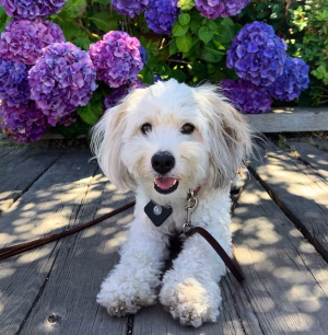 Catherine Mailly - Gallery Image 8