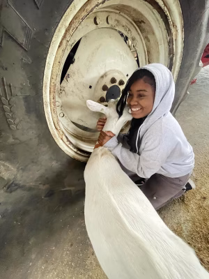 Syannelle Bosey - Gallery Image 3