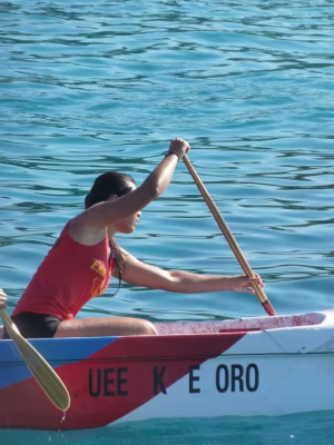 Hero Alea - Gallery Image 1