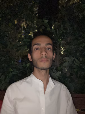 Ahmed Bakr - Gallery Image 2