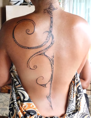 Hero Alea - Gallery Image 7