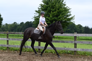 Megan Brownrigg - Gallery Image 1