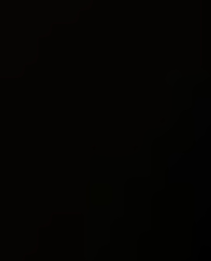 cropped_image-1047