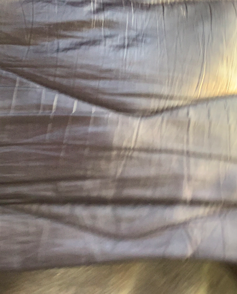 Nick Clark - Profile Photo