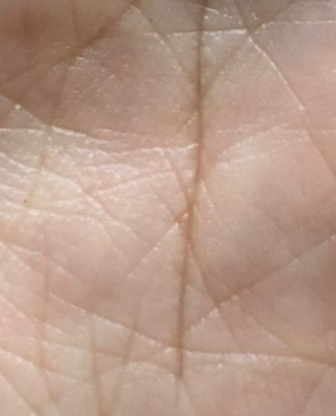 Shalima Safitri - Profile Photo