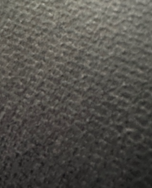 cropped_image-1410