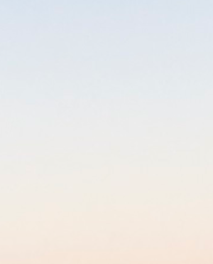 cropped_image-1646