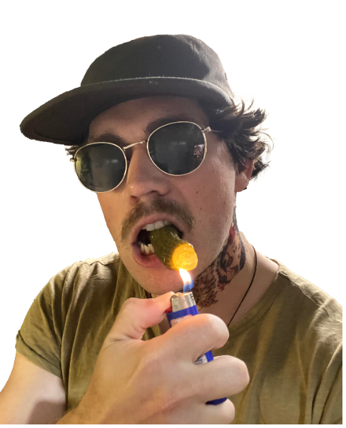 Tim Hamilton - Profile Photo