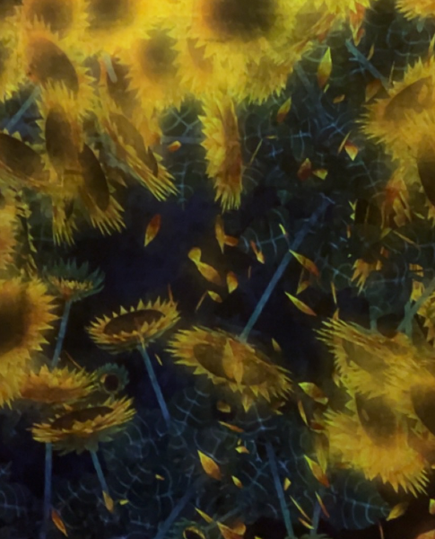 Bob Smith - Profile Photo