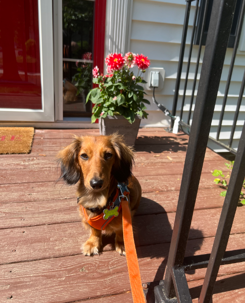 Michael Marsh - Profile Photo