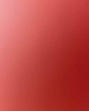 cropped_image-478