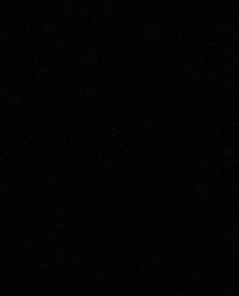 Tasha Earhart - Profile Photo