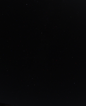 cropped_image-870