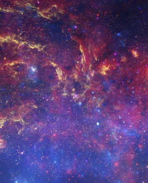 cropped_image-888
