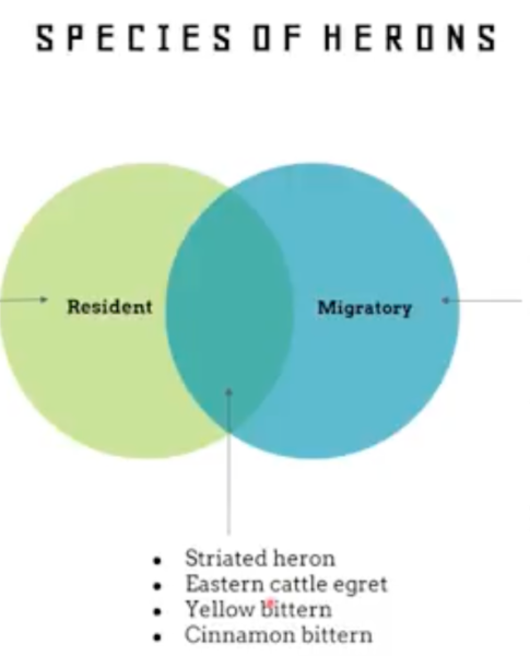 H Shah - Profile Photo