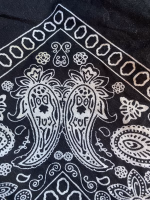 TheeYogi McIntyre - Gallery Image 4