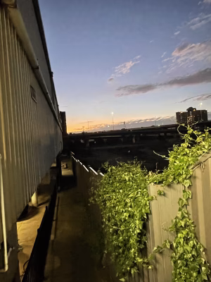 Adam  Love - Gallery Image 4