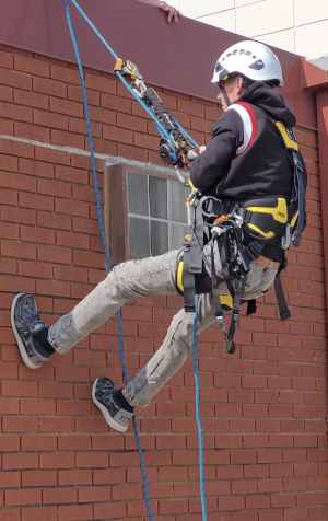 Jason Pittman - Gallery Image 1