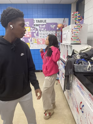 Ava Marquez - Gallery Image 12