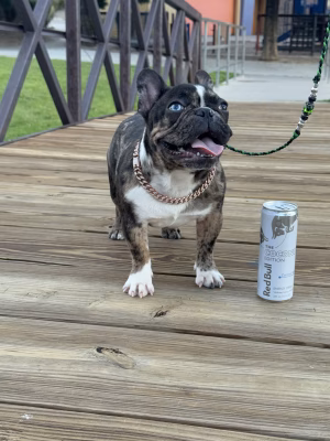 Devyn Griego - Gallery Image 8