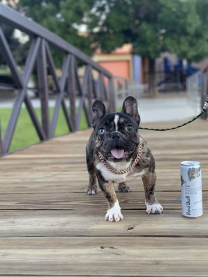 Devyn Griego - Gallery Image 7