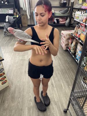 Ava Marquez - Gallery Image 1