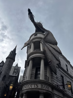 Abigail Irvine - Gallery Image 5