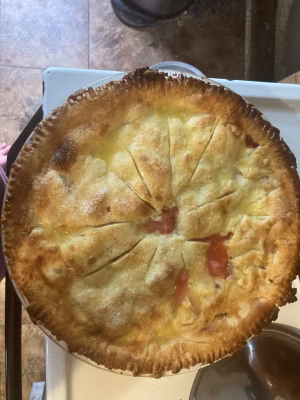 Carina Enright - Project Casting Gallery Image 4 Carina Enright - Gallery Image 4