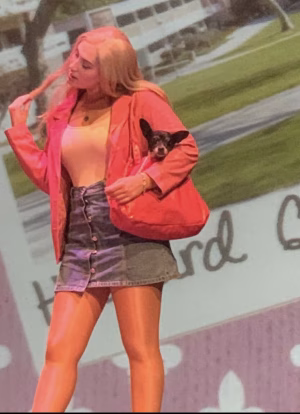 Carly Espinoza - Gallery Image 3