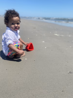 Midas  Garlic - Gallery Image 2