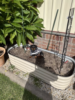 JJ Matthews - Gallery Image 6