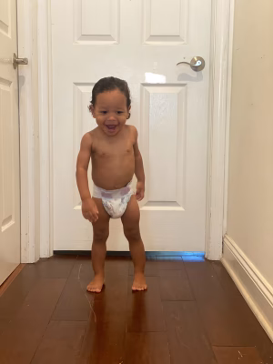 Midas  Garlic - Gallery Image 1