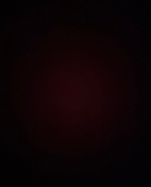 cropped_image-1030