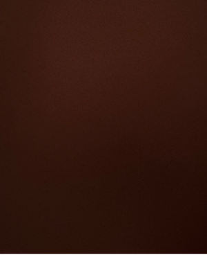 cropped_image-1066