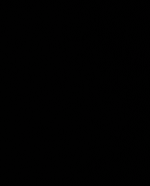 cropped_image-1102