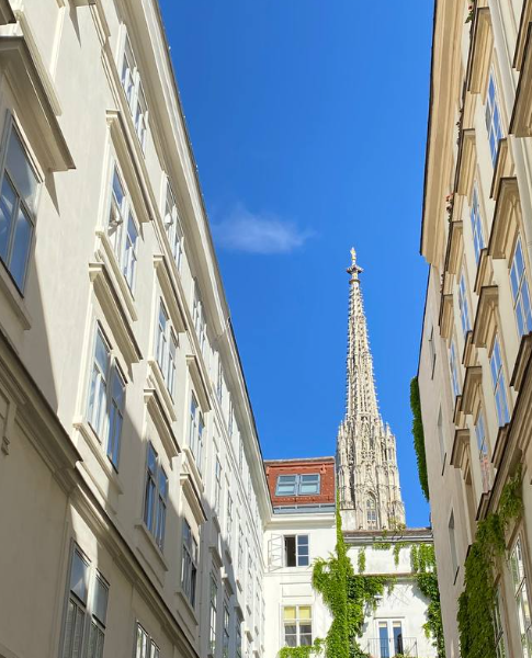 Nizami Yusifov - Profile Photo