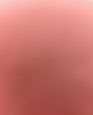 cropped_image-1181
