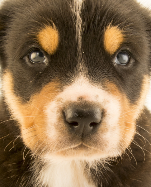 Tom Jeg - Profile Photo