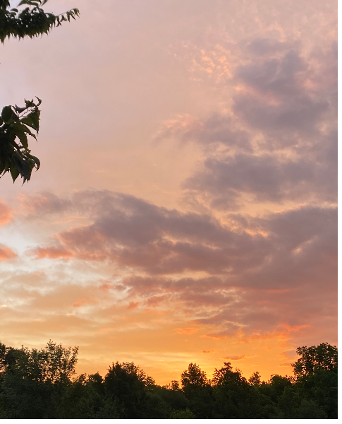 no name - Profile Photo