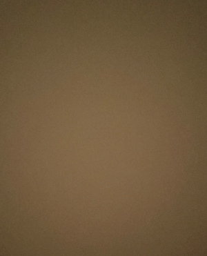 cropped_image-1280