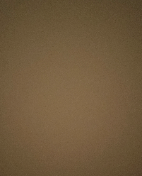 Ell Wood - Profile Photo