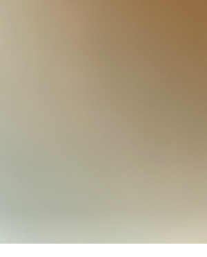 cropped_image-1432