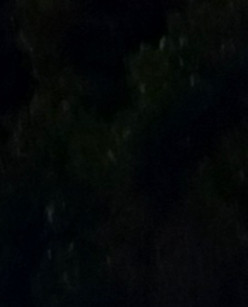 Joel Lively - Profile Photo