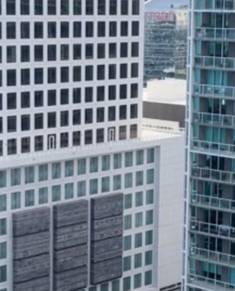 Alexis Harris - Profile Photo