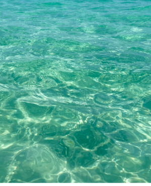 cropped_image-352