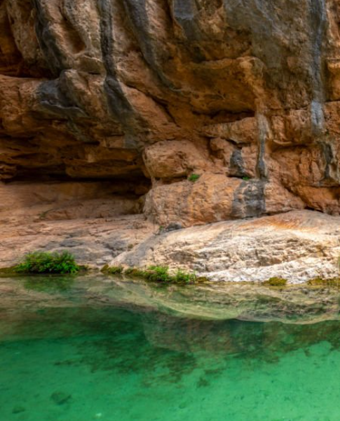 Oli  P - Profile Photo