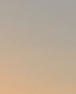 cropped_image-653