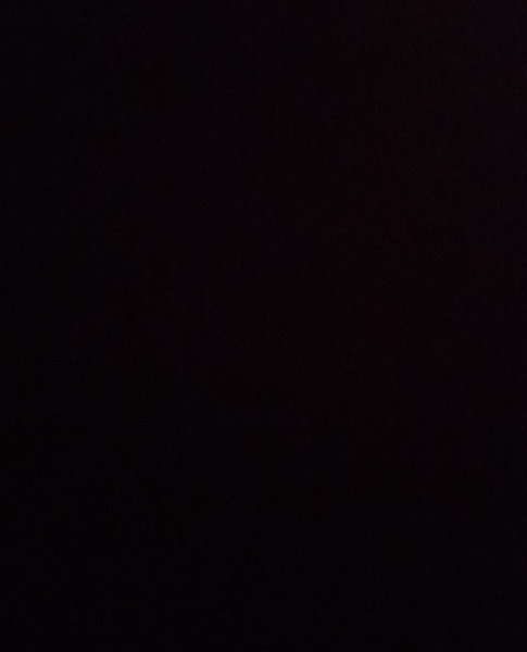 neha Sharrma - Profile Photo